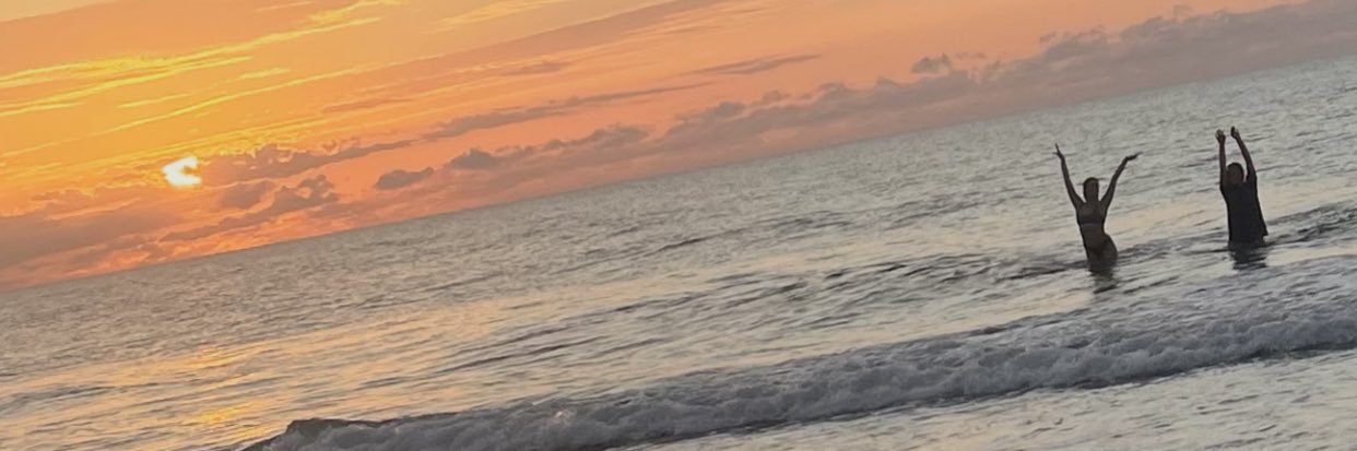 sophturchetti's profile banner image