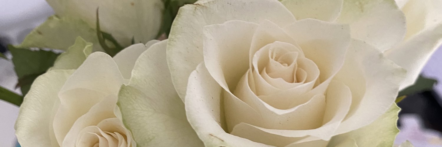 ldslv_'s profile banner image