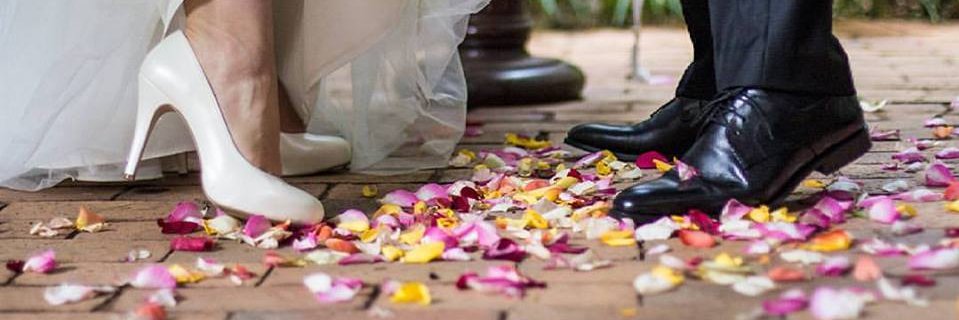 simplywedza's profile banner image