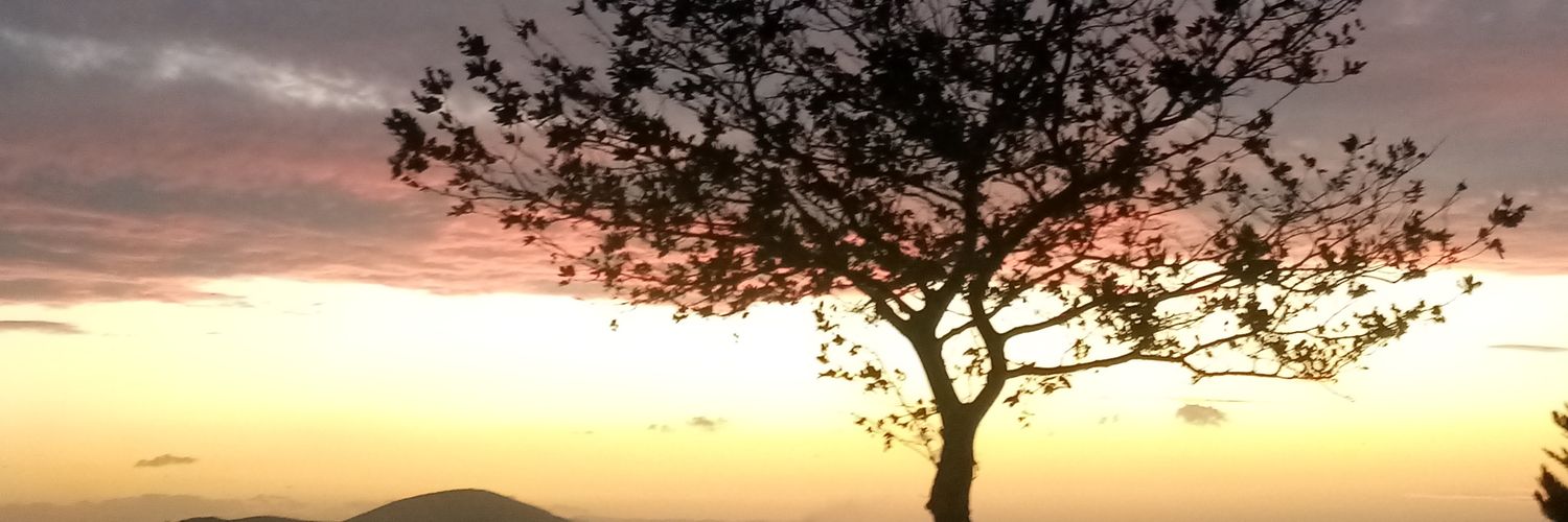 sidar_14's profile banner image