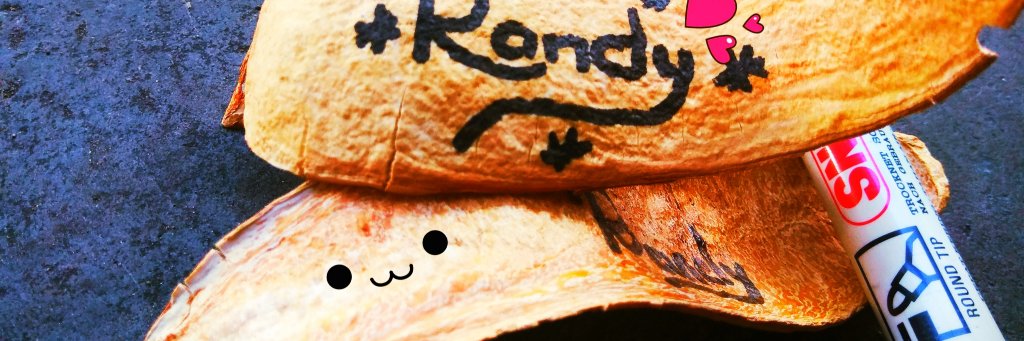 Randy Ridwan banner