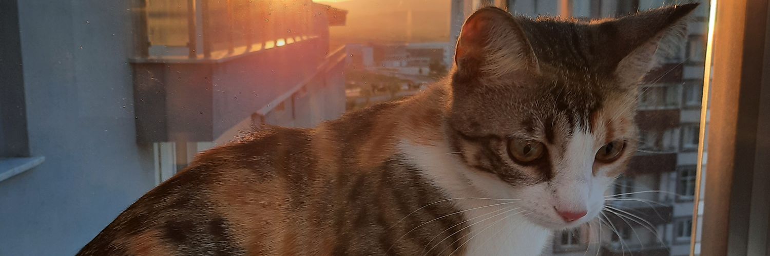 esraadincc's profile banner image