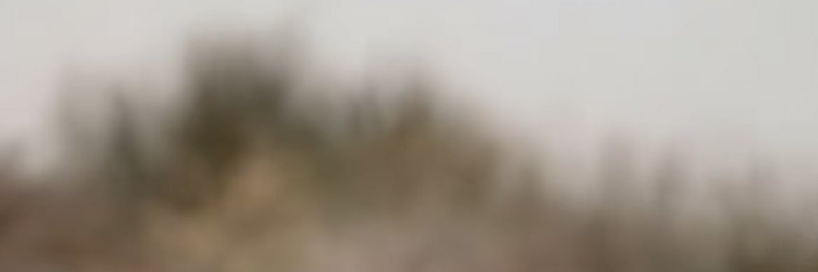 El3ash_79's profile banner image
