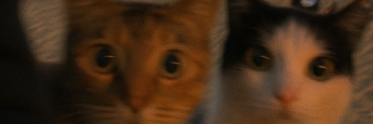 ktynanny's profile banner image