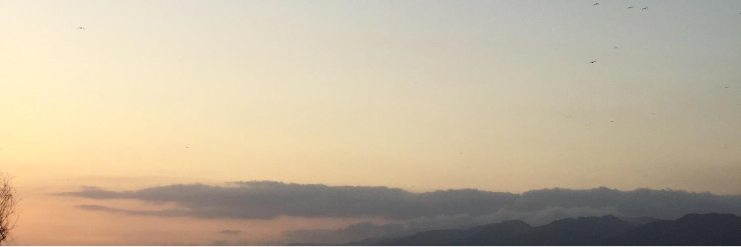 AlecBevere's profile banner image