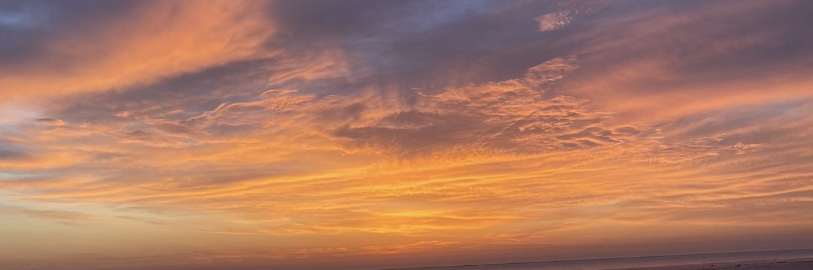 saraa__ald's profile banner image