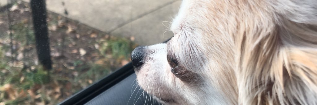 Casey Moninghoff banner