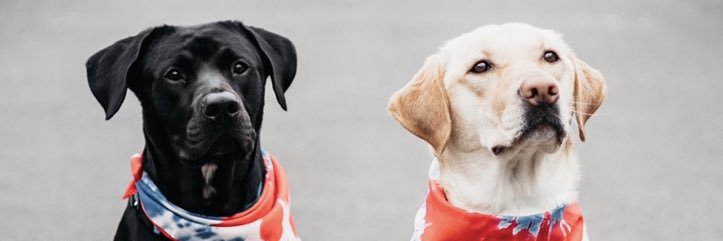 baileybreee's profile banner image