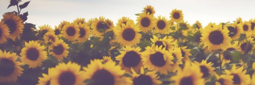 SliNicole's profile banner image