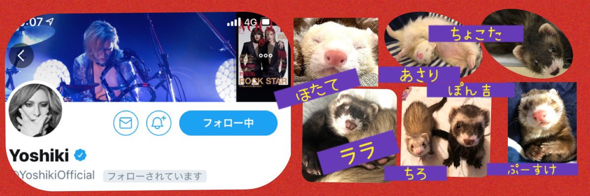 shi_1_2_3's profile banner image