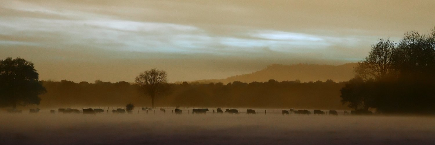 Martin Williamson banner