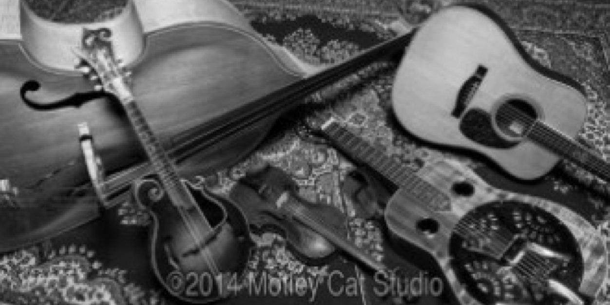 FauxgrassMusic's profile banner image