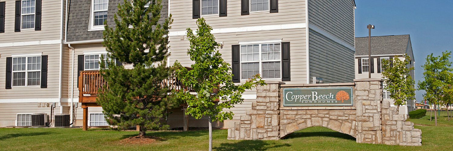 CopperBeechMtP's profile banner image