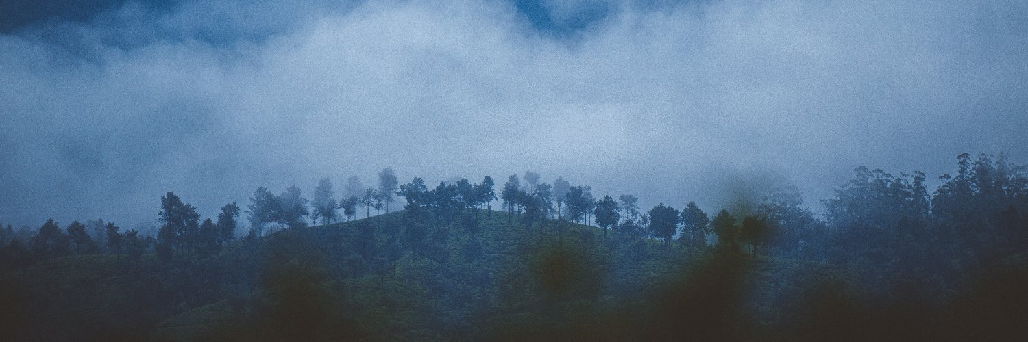shV_19's profile banner image