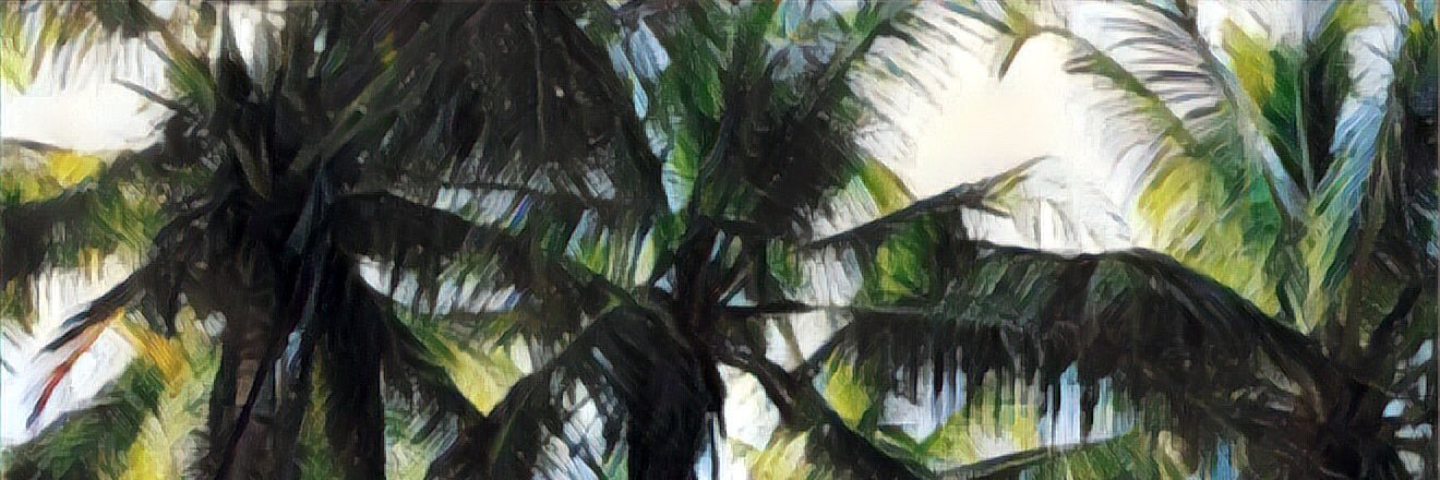 dannyelaluna's profile banner image