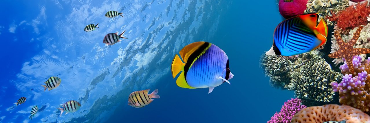 environmentjobs banner