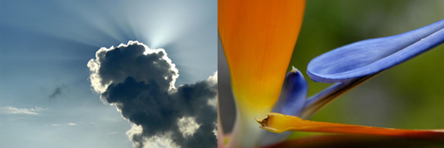 dorothymwallace's profile banner image