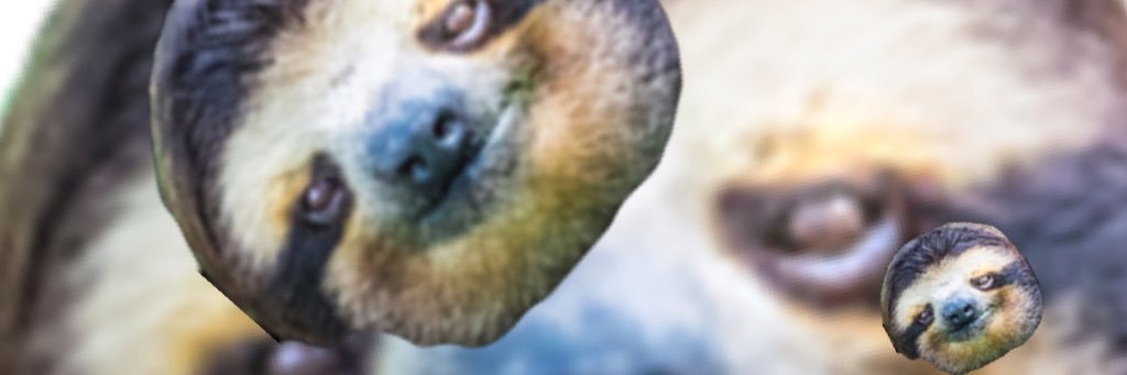 phiillyboii's profile banner image