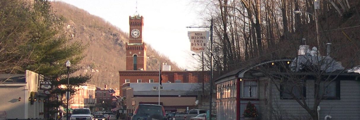 Vermontee Hippie banner