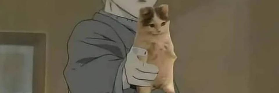 notthatdark's profile banner image