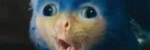 AnthonyDieuz's profile banner image