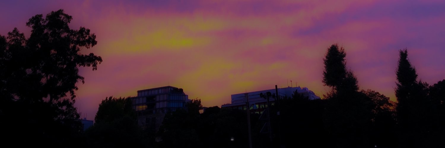 sort_crypto's profile banner image