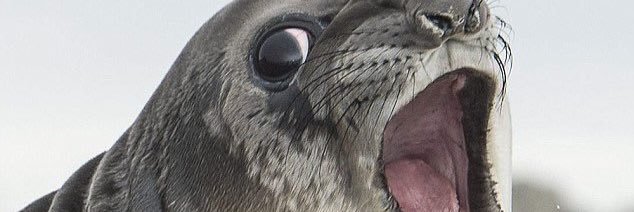 elvirtu's profile banner image