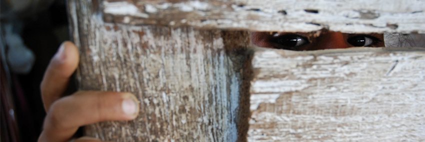 IPS Cuba banner