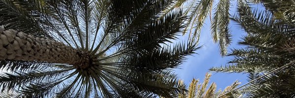 BadarAlzadjali Profile Banner