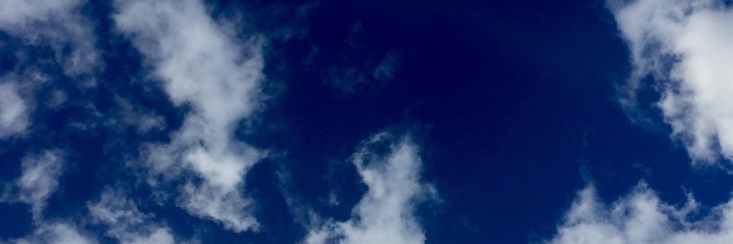 SantaCruzSocial's profile banner image