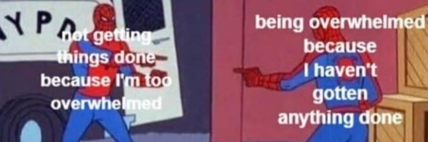 Curtflake✌️ banner