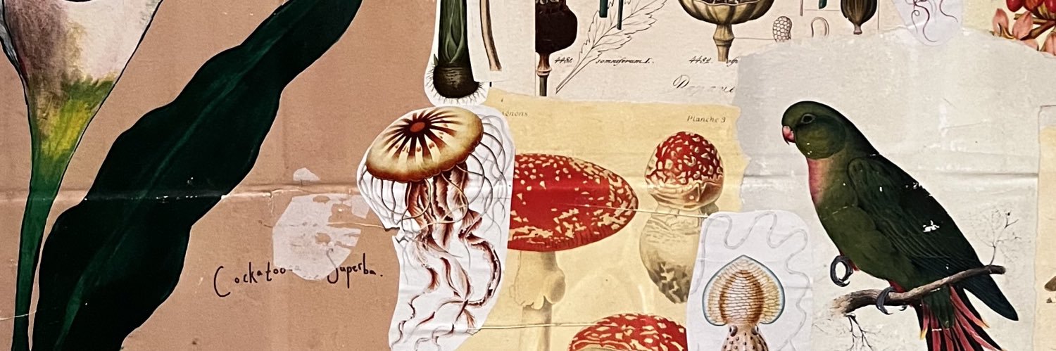 diogocherelli's profile banner image