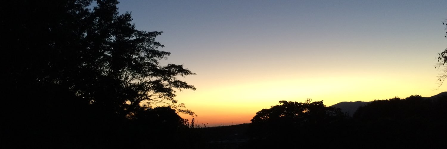 oneokrocktoshi's profile banner image