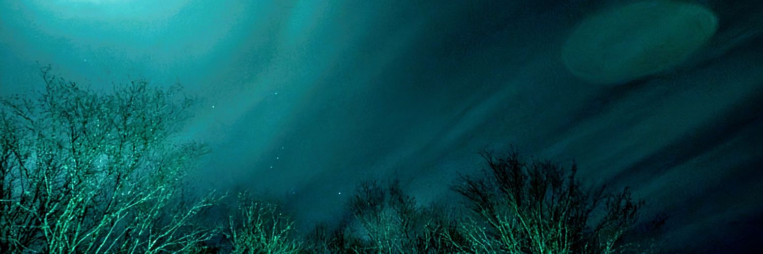 C0rNF13ld's profile banner image