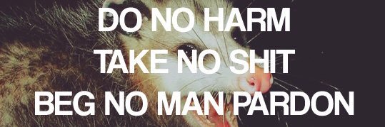 NoPantsOn's profile banner image
