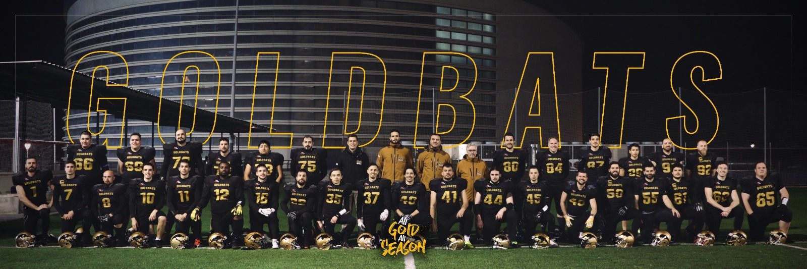 PINTO GOLDBATS banner