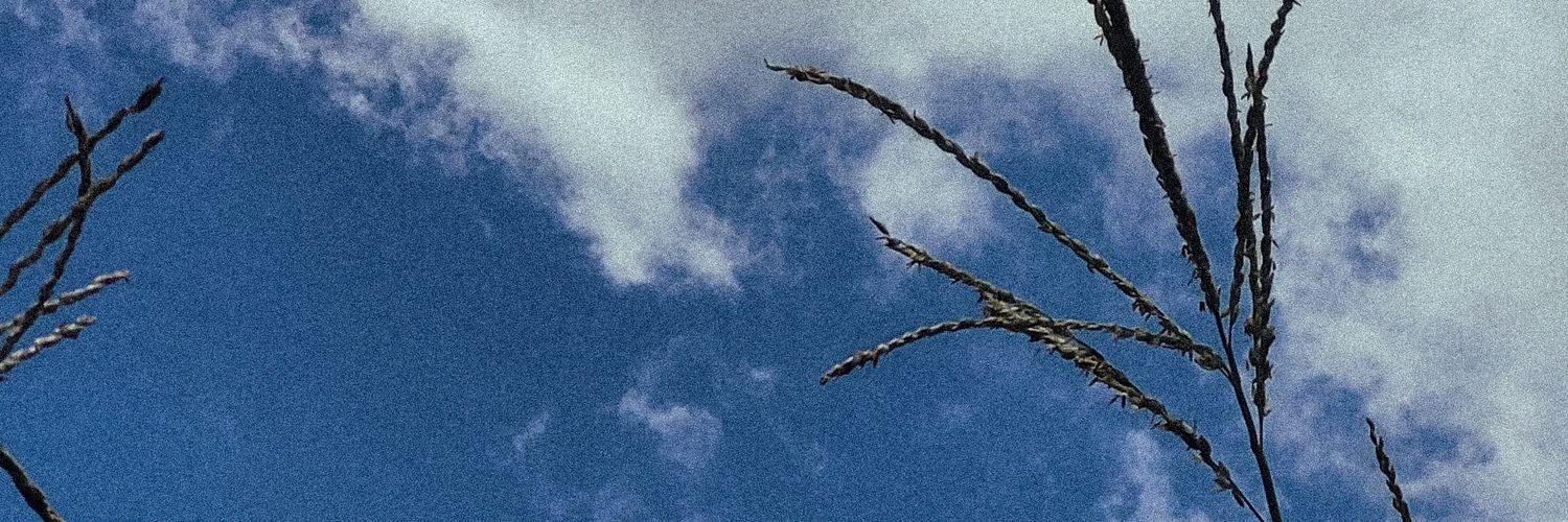 ndrl_siqueira's profile banner image