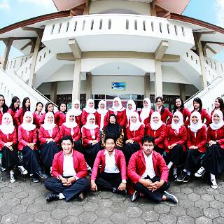 Telik banner