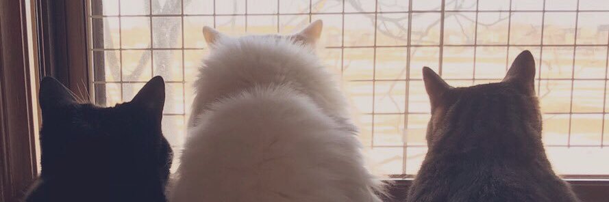 Gahyu0812's profile banner image
