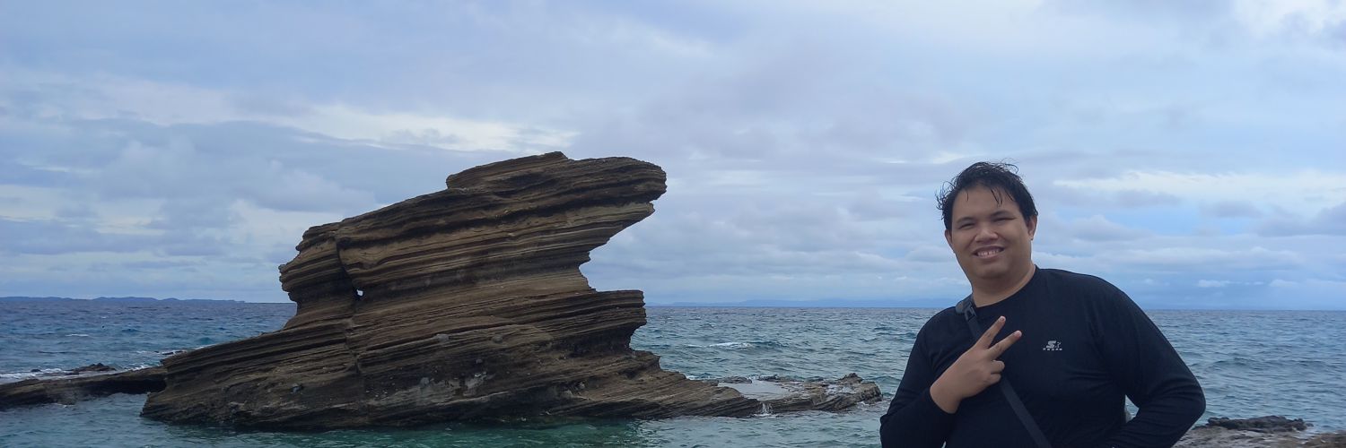 janussimbillo's profile banner image