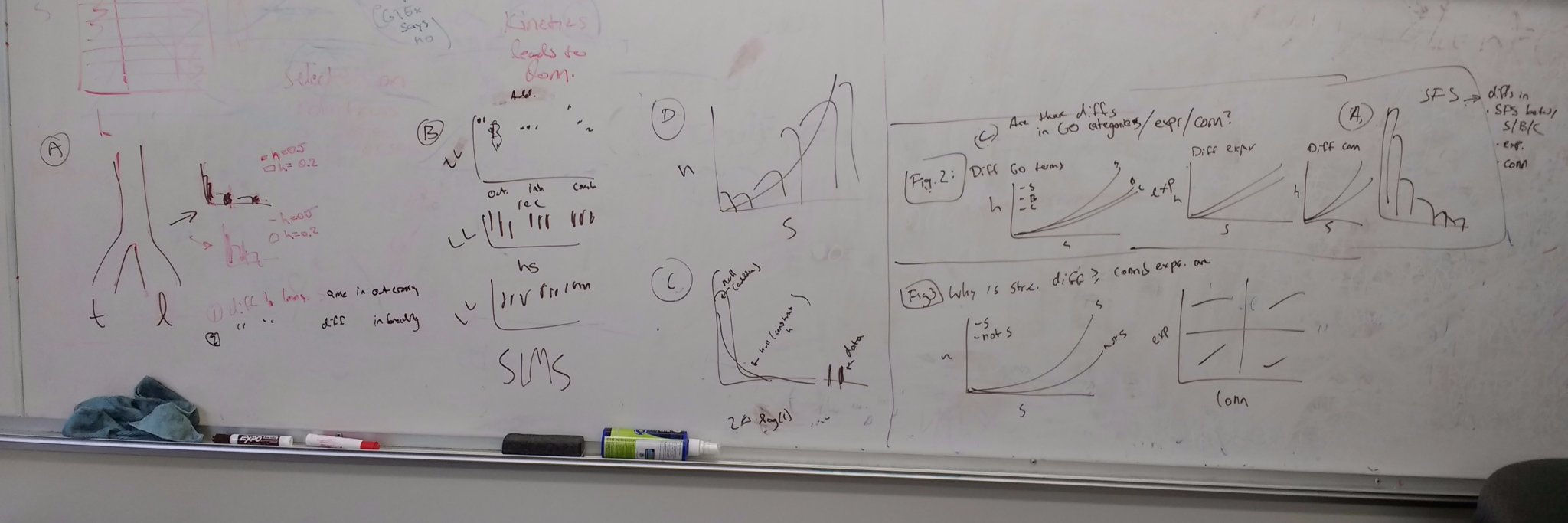 Christian D. Huber banner