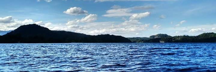 evulang's profile banner image