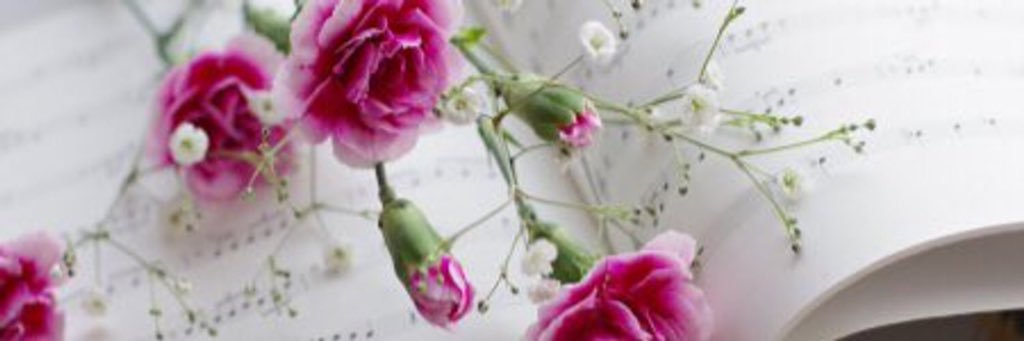 Zain Al Amoodi banner