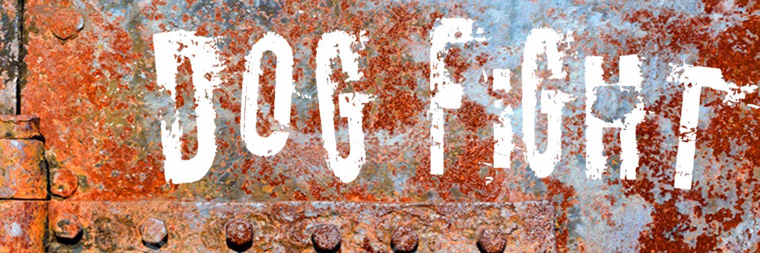 DogFight2ofus's profile banner image