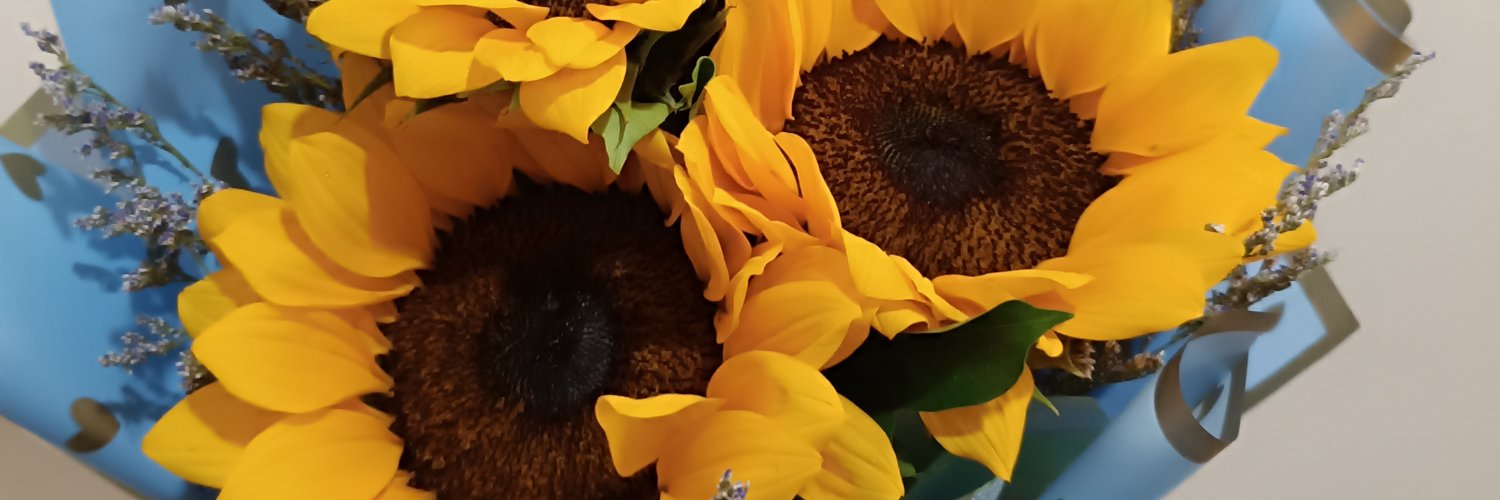 ayrahreyes's profile banner image