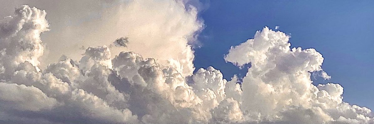 xrawani5's profile banner image