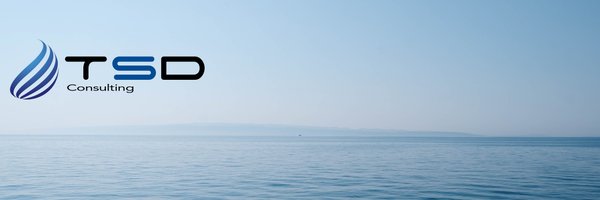 tsdconsulting Profile Banner