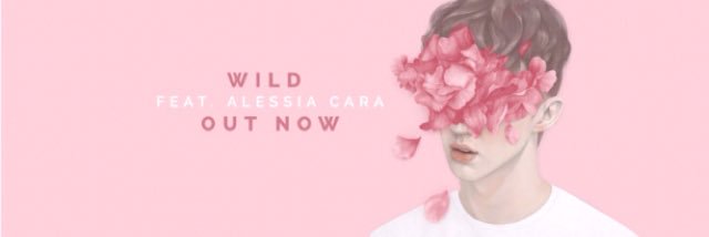 TroyeSivanFIN's profile banner image