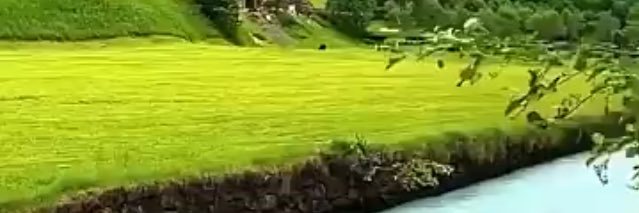 SmatNafsi's profile banner image