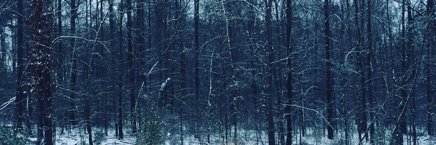 blissxappp's profile banner image